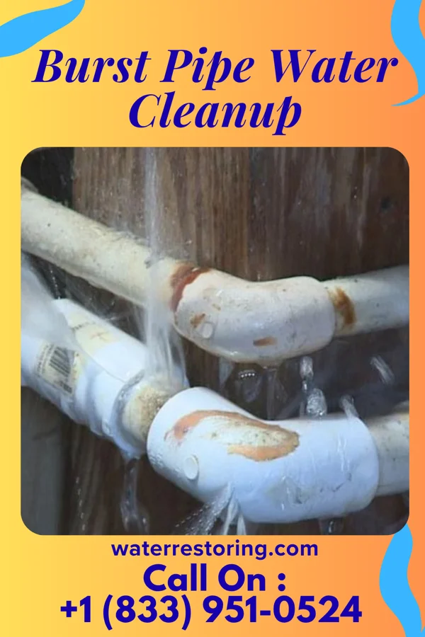 Burst Pipe Water Cleanup in Leland, IL