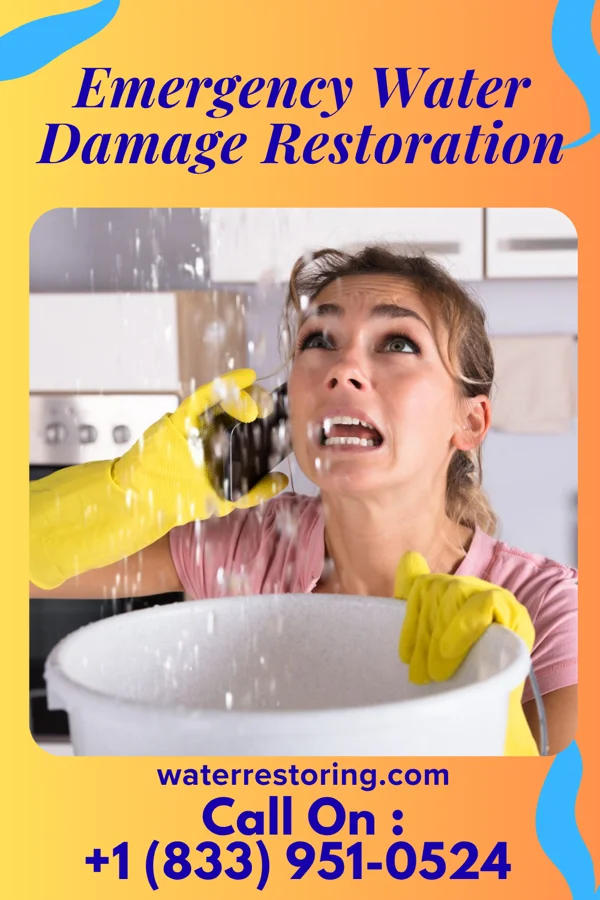 Emergency Water Damage Restoration in Leland, IL